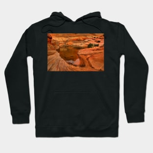 Northern Arizona Desert Oasis Hoodie